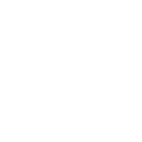 DS-LOGO-BLANCO